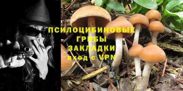 MESCALINE Богородск